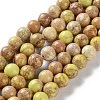 Dyed Natural Regalite/Imperial Jasper/Sea Sediment Jasper Beads Strands G-B124-C01-08-1