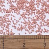 MIYUKI Delica Beads X-SEED-J020-DB1363-4