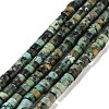 Natural African Turquoise(Jasper) Beads Strands G-A220-B03-01-1