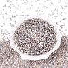 Baking Paint Glass Seed Beads SEED-Q041-03A-13-2