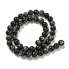 Natural Silver Obsidian Beads Strands G-S150-20A-8mm-3