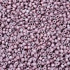 MIYUKI Delica Beads Small SEED-JP0008-DBS0379-3