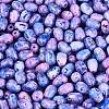 Picasso Glass Seed Beads SEED-N012-10F-3