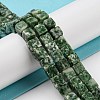 Natural Green Spot Jasper Beads Strands G-Q1008-B04-4