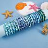 Handmade Polymer Clay Heishi Surfer Stretch Bracelets Set BJEW-SW00099-03-6