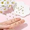 SHEGRACE Brass Crimp Beads XGR0053G-63G-4