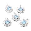 Brass Micro Pave Cubic Zirconia Pendants ZIRC-O044-21B-P-1