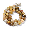 Natural Fossil Coral Beads Strands G-C038-02T-3