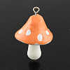 Resin Pendants LS-RESI-S295-06-1