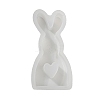 Rabbit Shape DIY Display Decoration Silhouette Silicone Molds LS-DIY-K073-08C-3