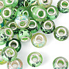 30Pcs Printed Transparent Resin European Beads RESI-TADJ0001-03I-2