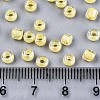 6/0 Glass Seed Beads X1-SEED-A016-4mm-202-4