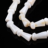 Natural Freshwater Shell Beads Strands SHEL-N026-213-A01-3