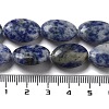 Natural Blue Spot Jasper Beads Strands G-P528-M26-01-5
