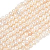 Natural Cultured Freshwater Pearl Beads Strands PEAR-L034-05-2