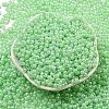 Glass Seed Beads SEED-K009-02B-13-2