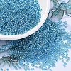 MIYUKI Round Rocailles Beads SEED-X0054-RR2429-1