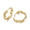 KC Gold Plated Brass Micro Pave Cubic Zirconia Hoop Earring EJEW-L271-16KCG-03-2