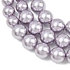 Electroplated Shell Pearl Graduated Beads Strands BSHE-C011-04-03-2