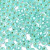 6/0 Glass Seed Beads SEED-Z001-B-E05-3