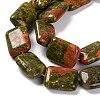 Natural Unakite Beads Strands G-T047-B27-01-4