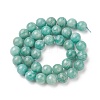 Natural Amazonite Beads Strands G-F461-12-10mm-01-4