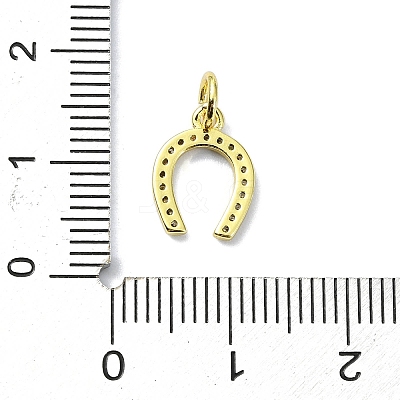 Brass Micro Pave Claer Cubic Zirconia Charms KK-H475-44G-1