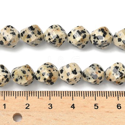 Natural Dalmatian Jasper Beads Strands G-C267-B21-1