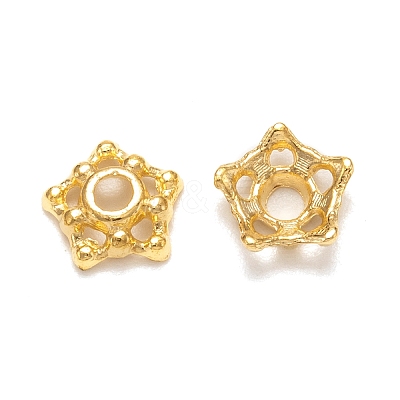 Tibetan Style Alloy Bead Caps LS-K08A7011-1