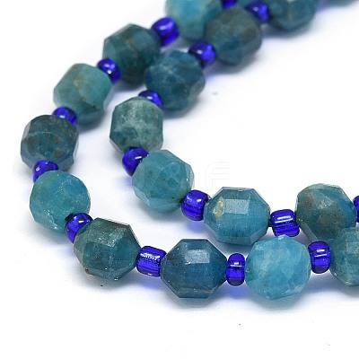 Natural Apatite Beads Strands G-O201B-04-1