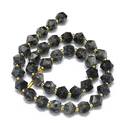 Natural Larvikite Beads Strand G-I376-A13-01-1
