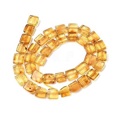 Natural Amber Beads Strands G-C260-A01-03-1