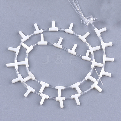 Natural Freshwater Shell Beads SHEL-T012-59T-1