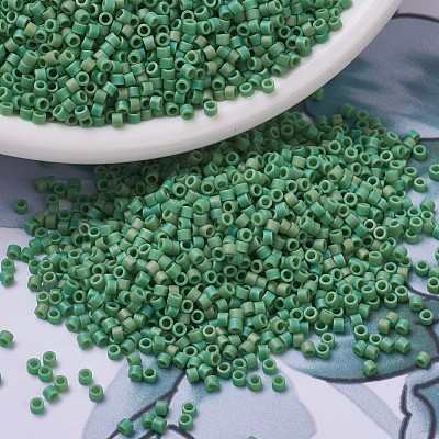 MIYUKI Delica Beads X-SEED-J020-DB0877-1