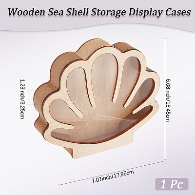 Shell Shaped Wooden Sea Shell Storage Display Cases with Visible Window ODIS-WH20012-01-1