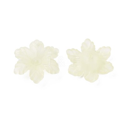 Transparent Acrylic Beads MACR-S373-117-D03-1