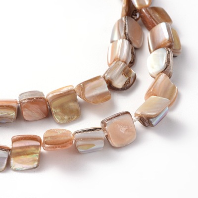 Erose Natural Shell Beads Strands X-PBB071Y-1
