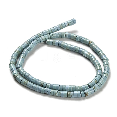 Natural Turquoise Beads Strands X-G-M422-C01-01-1