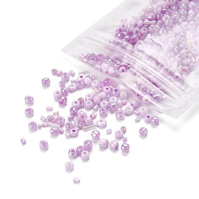 Glass Seed Beads X-SEED-S059-009-1