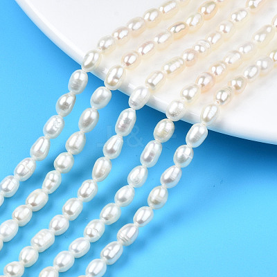 Natural Cultured Freshwater Pearl Beads Strands PEAR-N012-04B-1