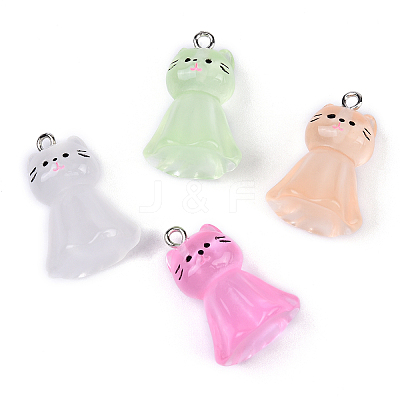 10Pcs Luminous Resin Pendants RESI-YW0004-54-1