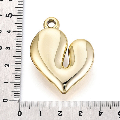 Acrylic Pendants OACR-T030-40A-1