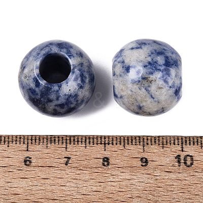 Natural Blue Spot Jasper Beads G-Q608-05H-1