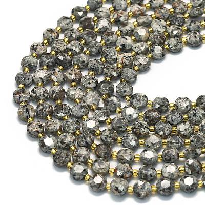 Natural Fluorescent Syenite Rock(Glow under UV Light) Beads Strands G-C116-A18-02-1