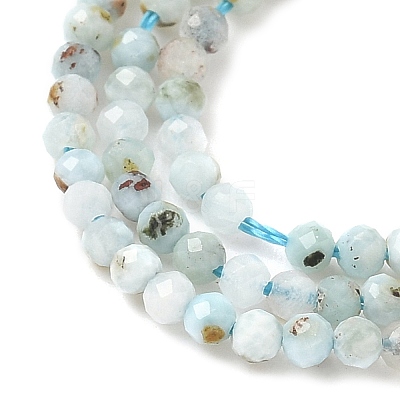 Natural Larimar Beads Strands G-L627-A01-2mm-1