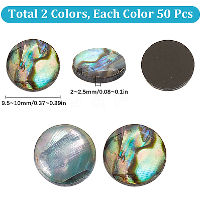 100Pcs 2 Styles Natural Abalone Shell/Paua Shell Cabochons SHEL-SC0001-42-1