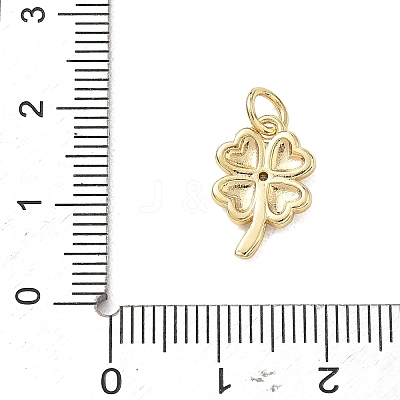Brass Micro Pave Clear Cubic Zirconia Charms CU-CBADD0C-09G-1
