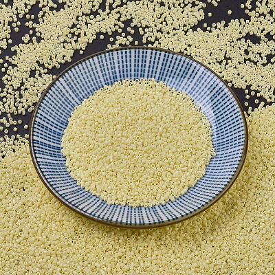 MIYUKI Delica Beads SEED-JP0008-DB2101-1