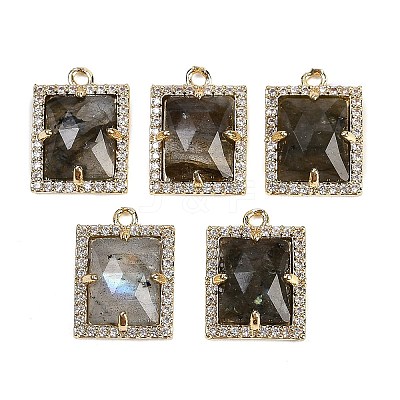 Natural Mixed Gemstone Faceted Rectangle Pendants G-I375-05G-1