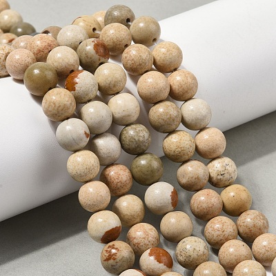 Natural Picture Jasper Beads Strands G-G184-A03-01-1